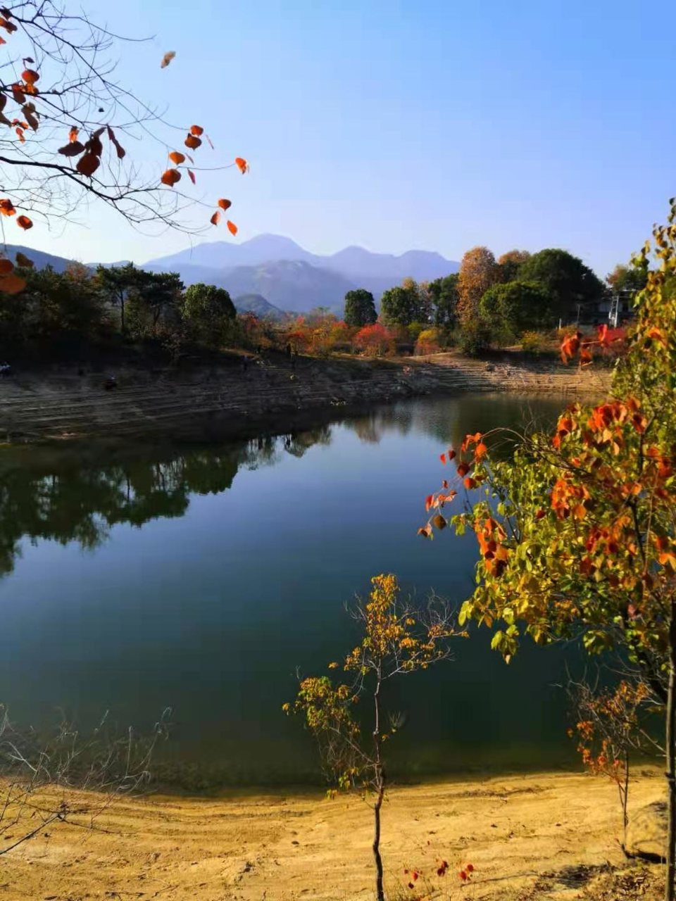 微信图片_202011161435188