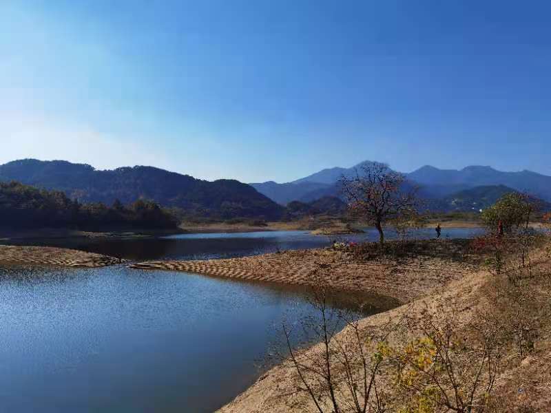 微信图片_202011161436413