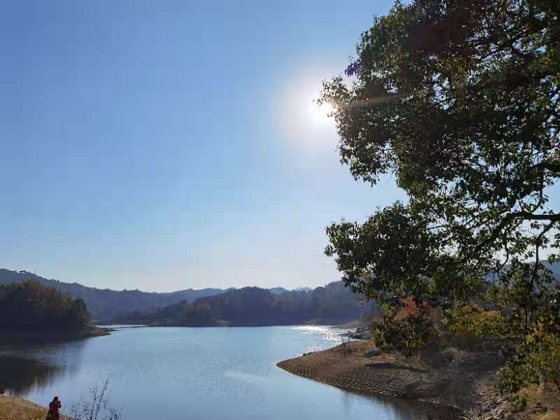 微信图片_202011161436414