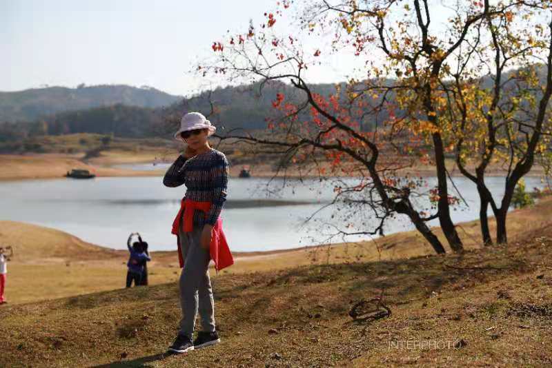 微信图片_202011161436417