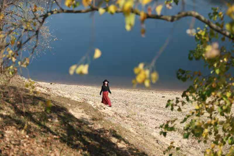 微信图片_202011161437103