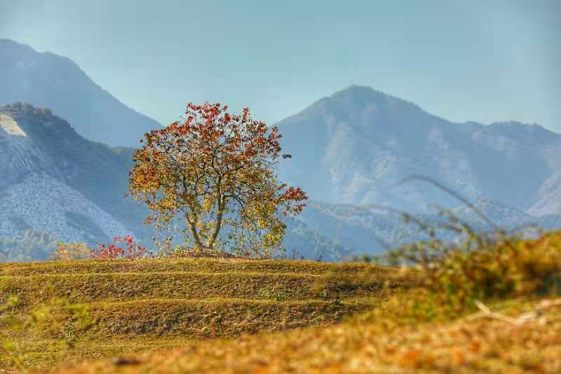 微信图片_202011161437104