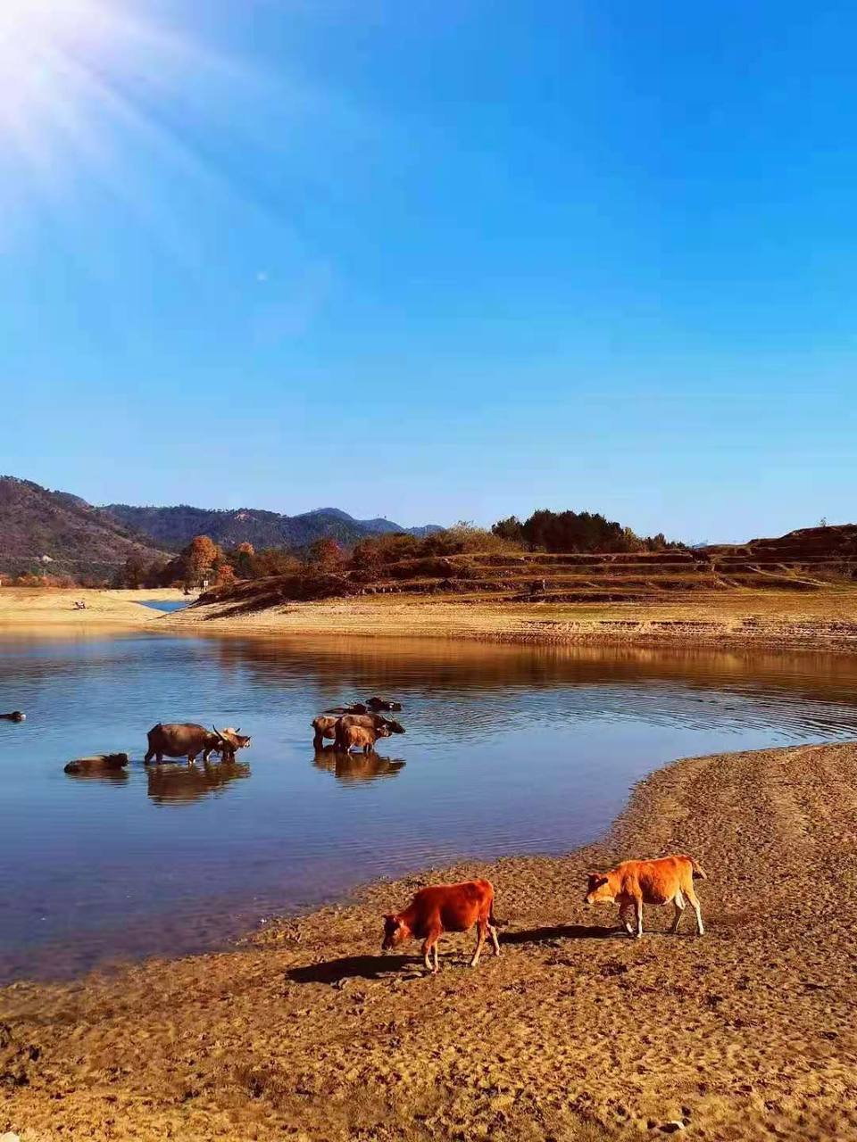 微信图片_202011161437391