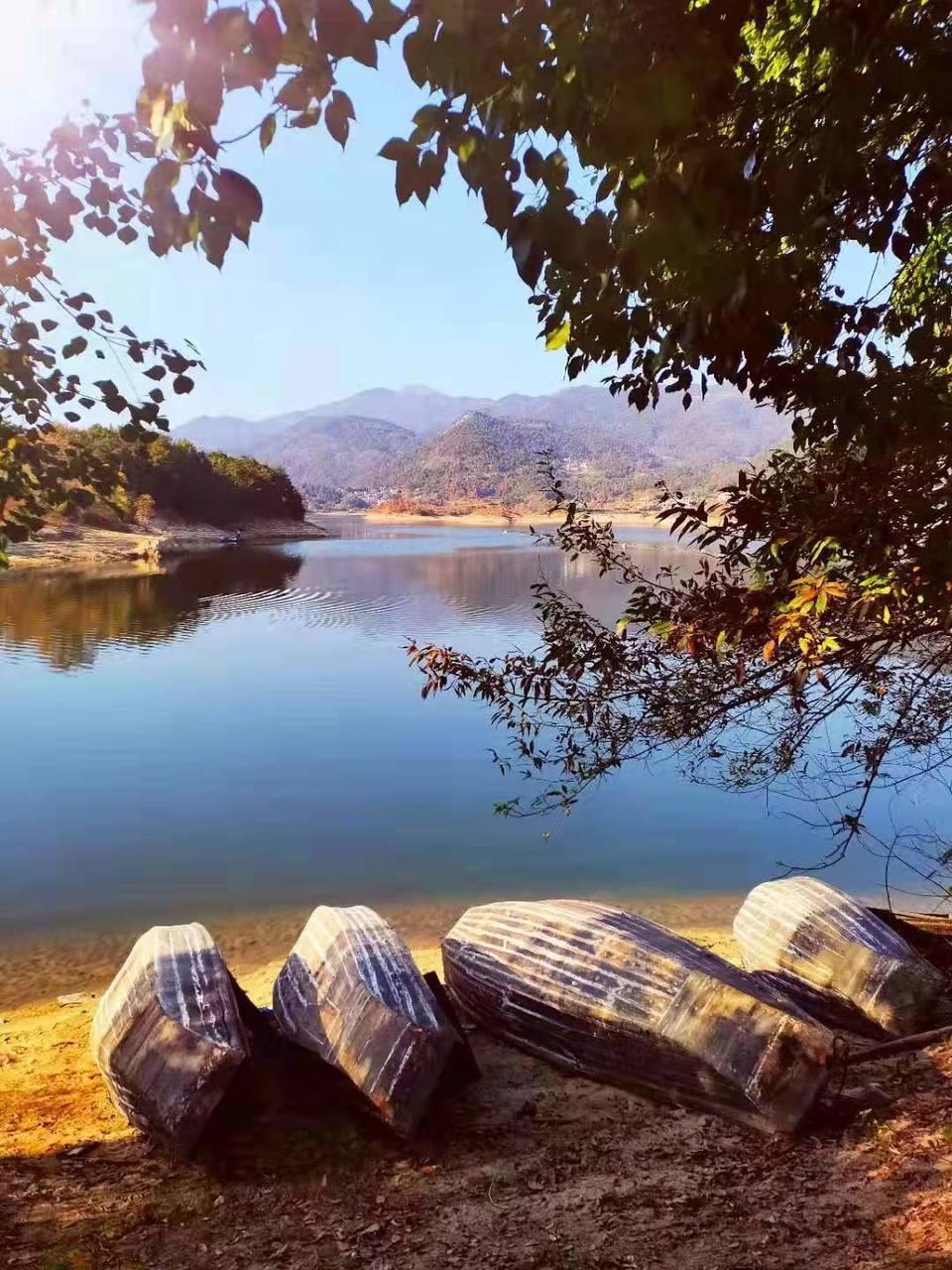 微信图片_202011161437392