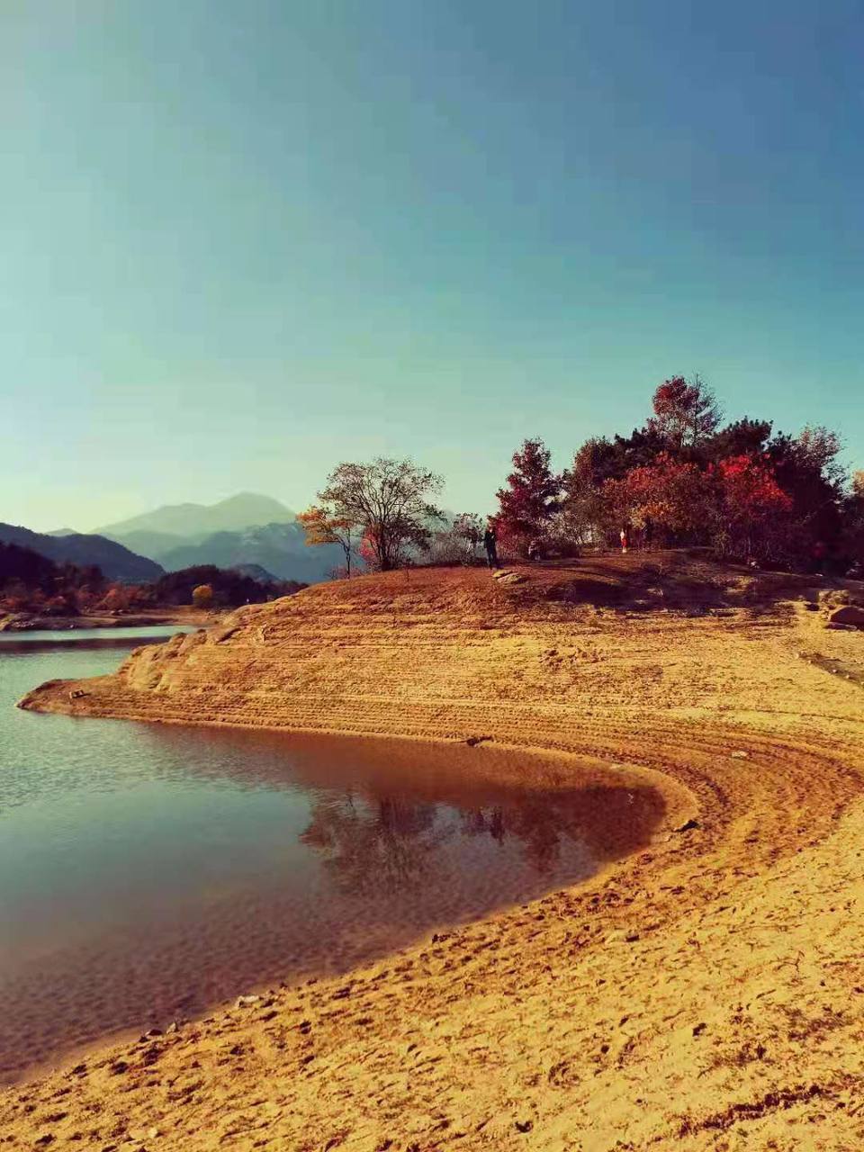 微信图片_202011161437394