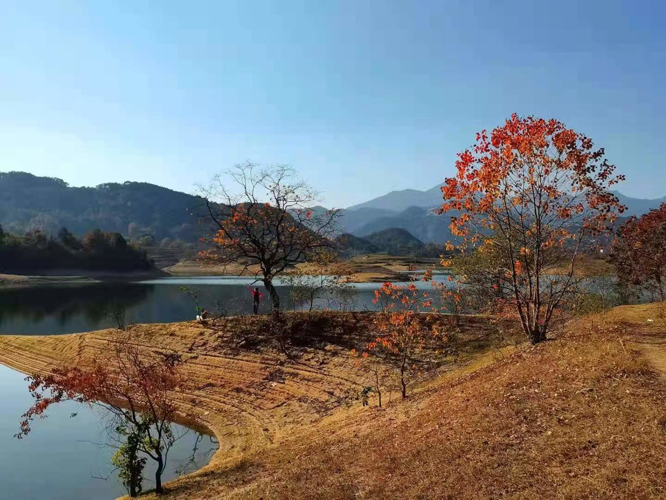 微信图片_202011161437396