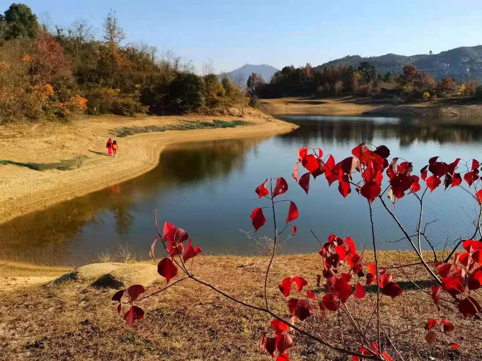 微信图片_202011161437397