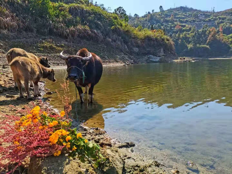 微信图片_202011161438112