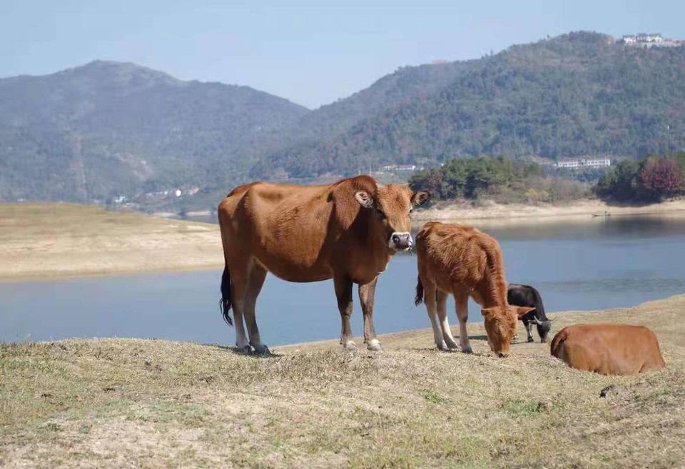 微信图片_202011161438113