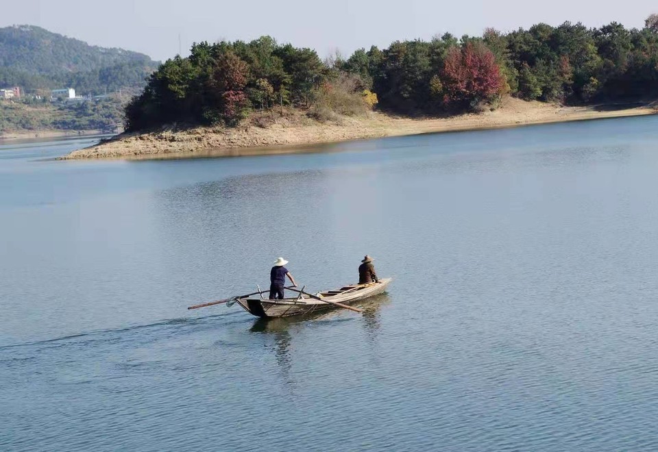 微信图片_202011161438114