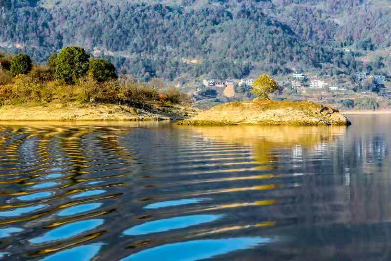 微信图片_202011161438115