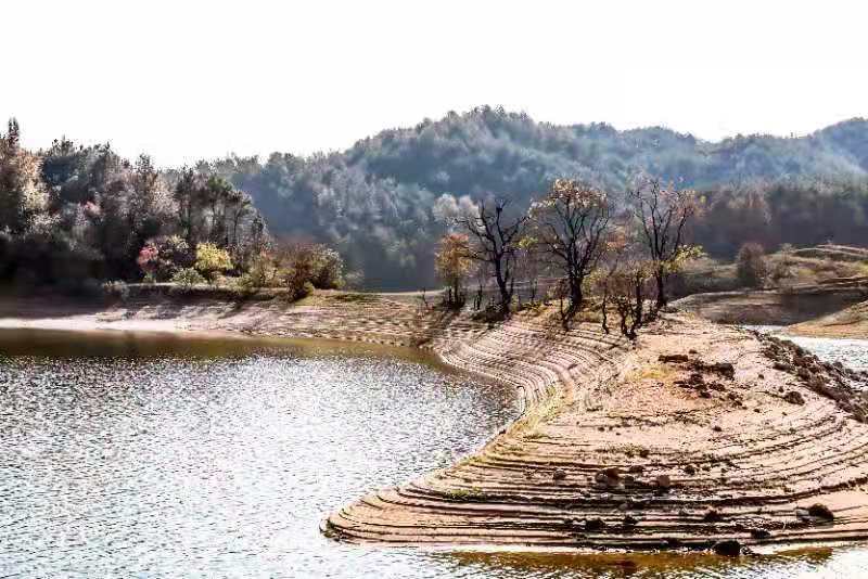 微信图片_202011161438461