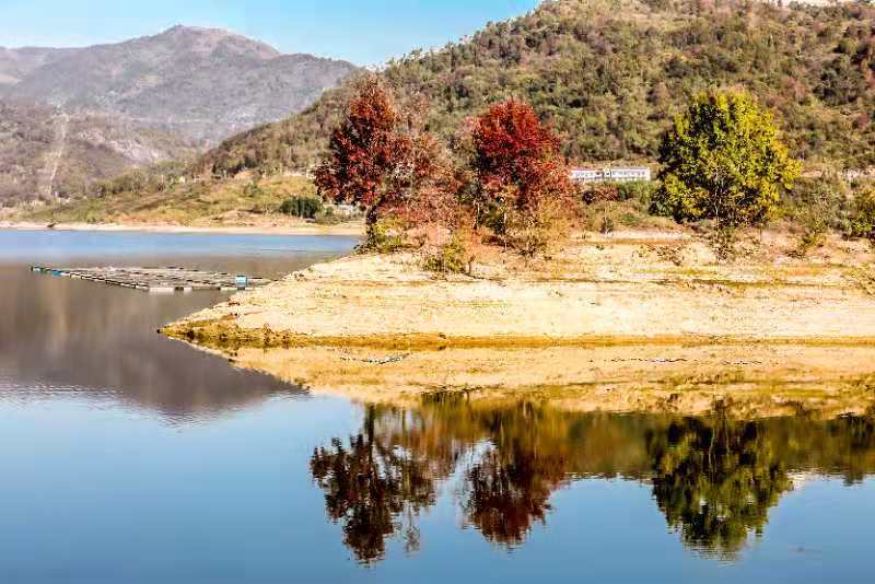 微信图片_202011161438462