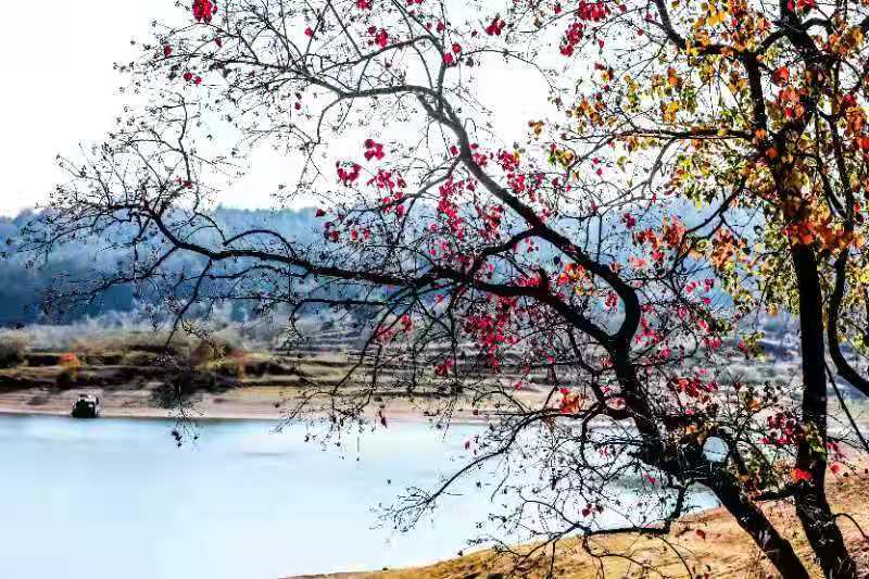 微信图片_202011161438464