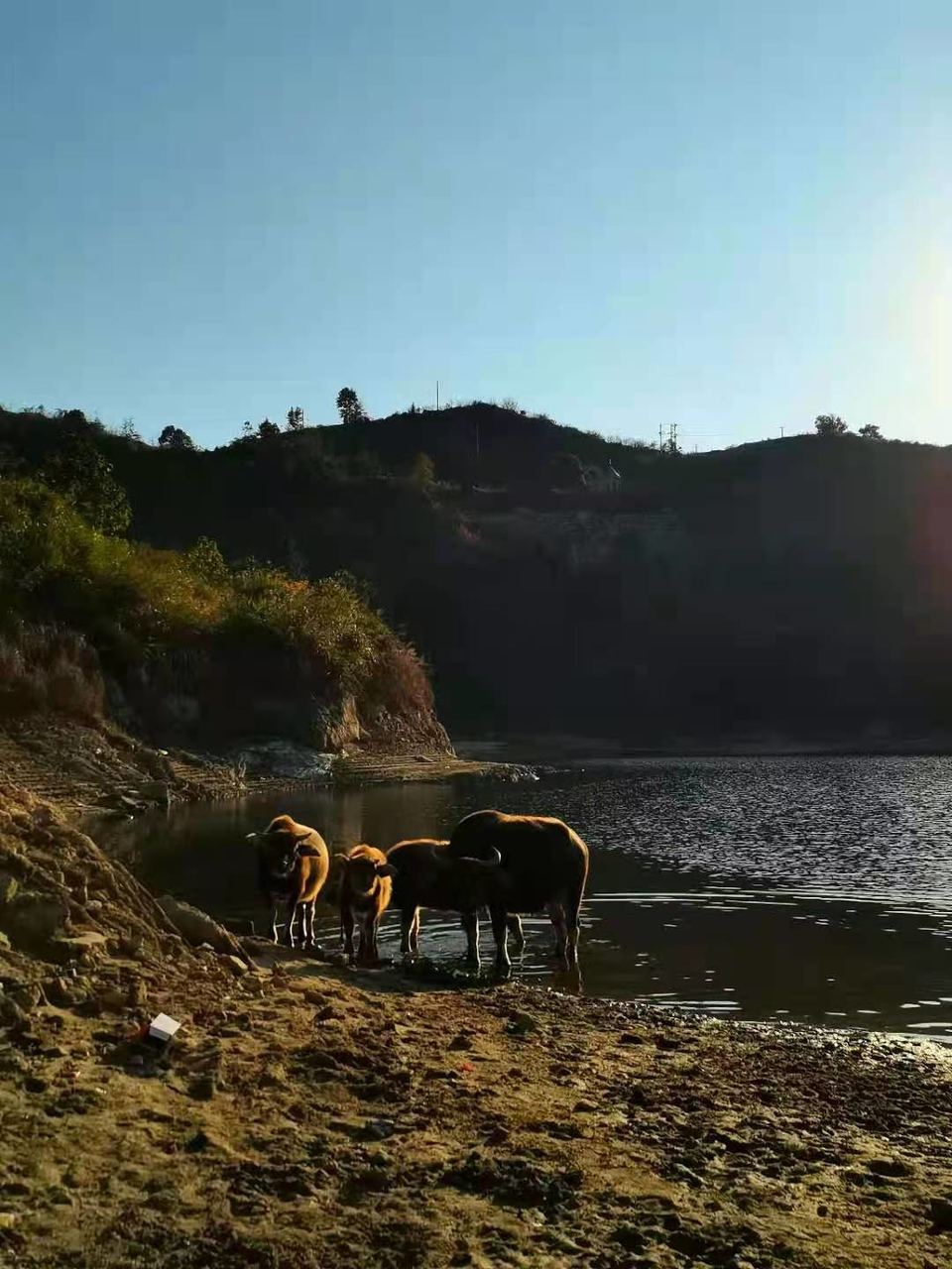 微信图片_202011161438465