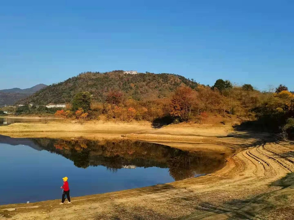 微信图片_202011161439361