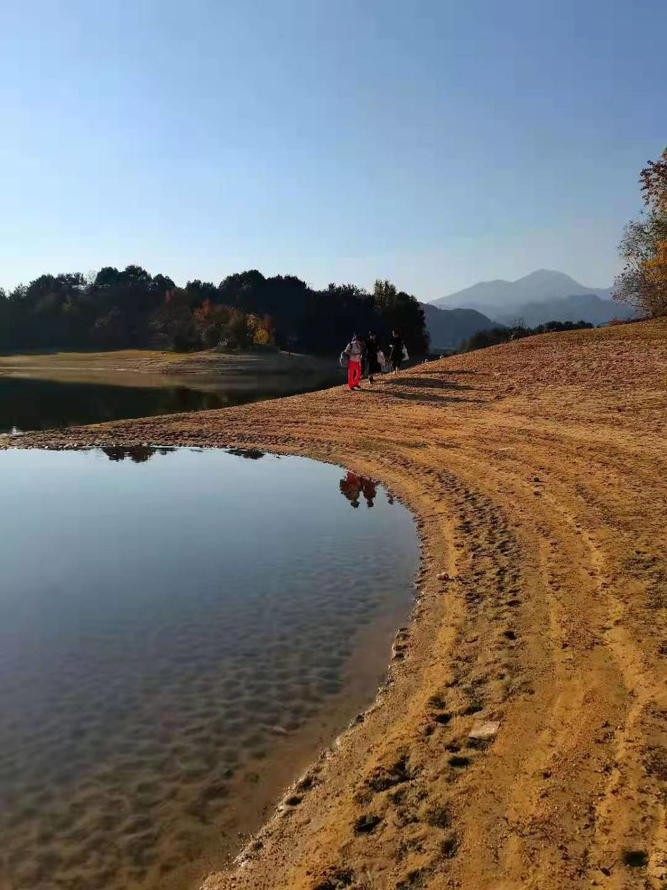 微信图片_202011161439363