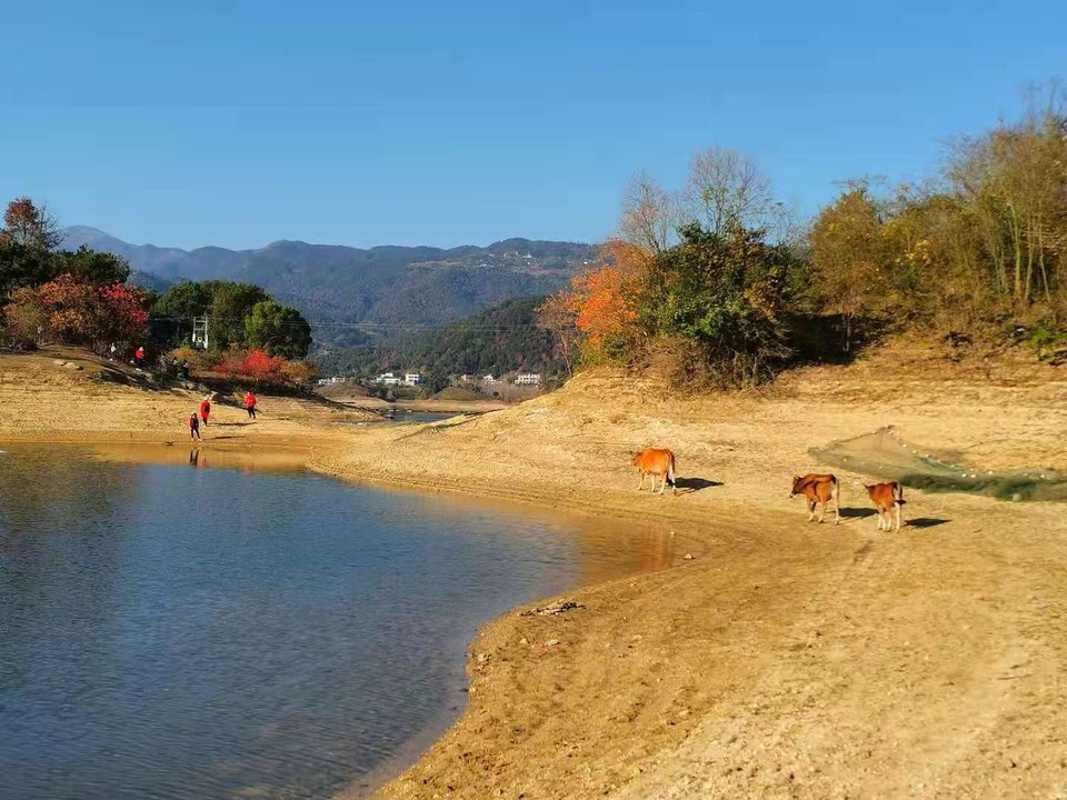 微信图片_202011161439364