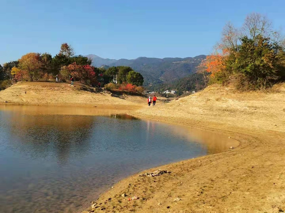 微信图片_202011161439365