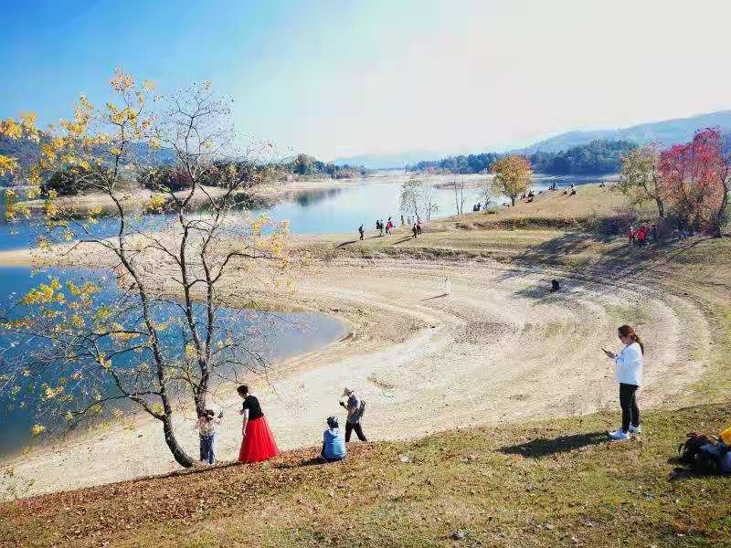 微信图片_202011161440263