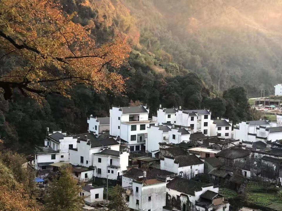 微信图片_20201116145722