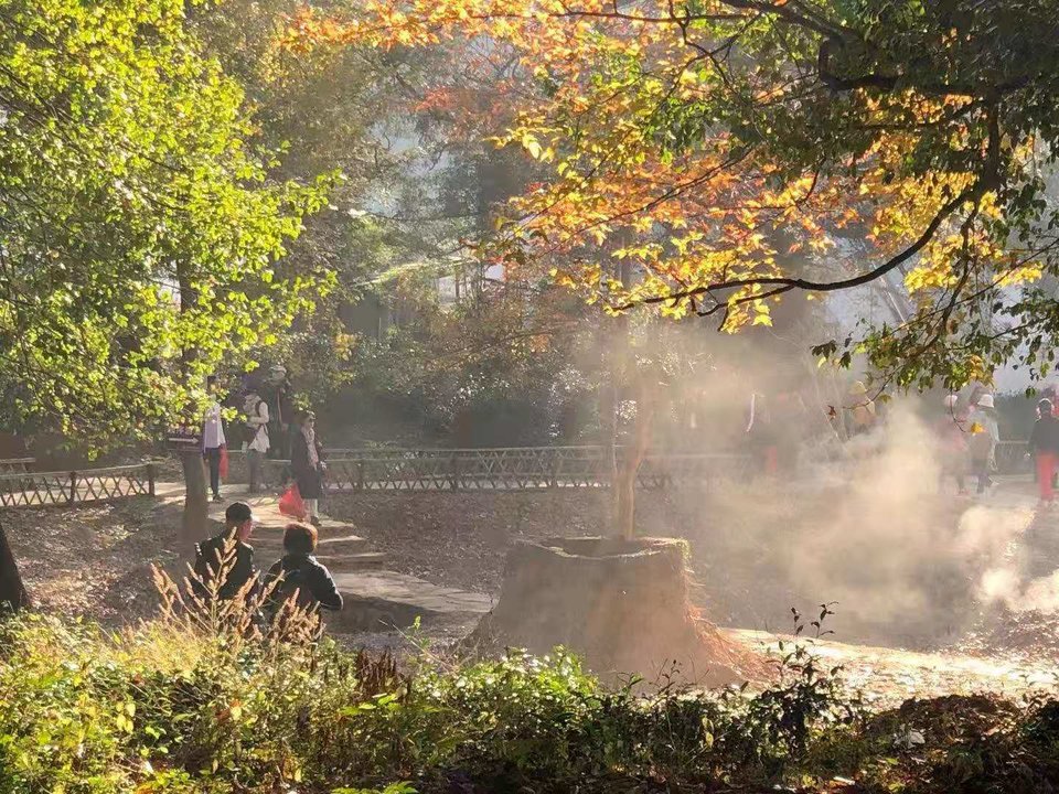 微信图片_20201116145821