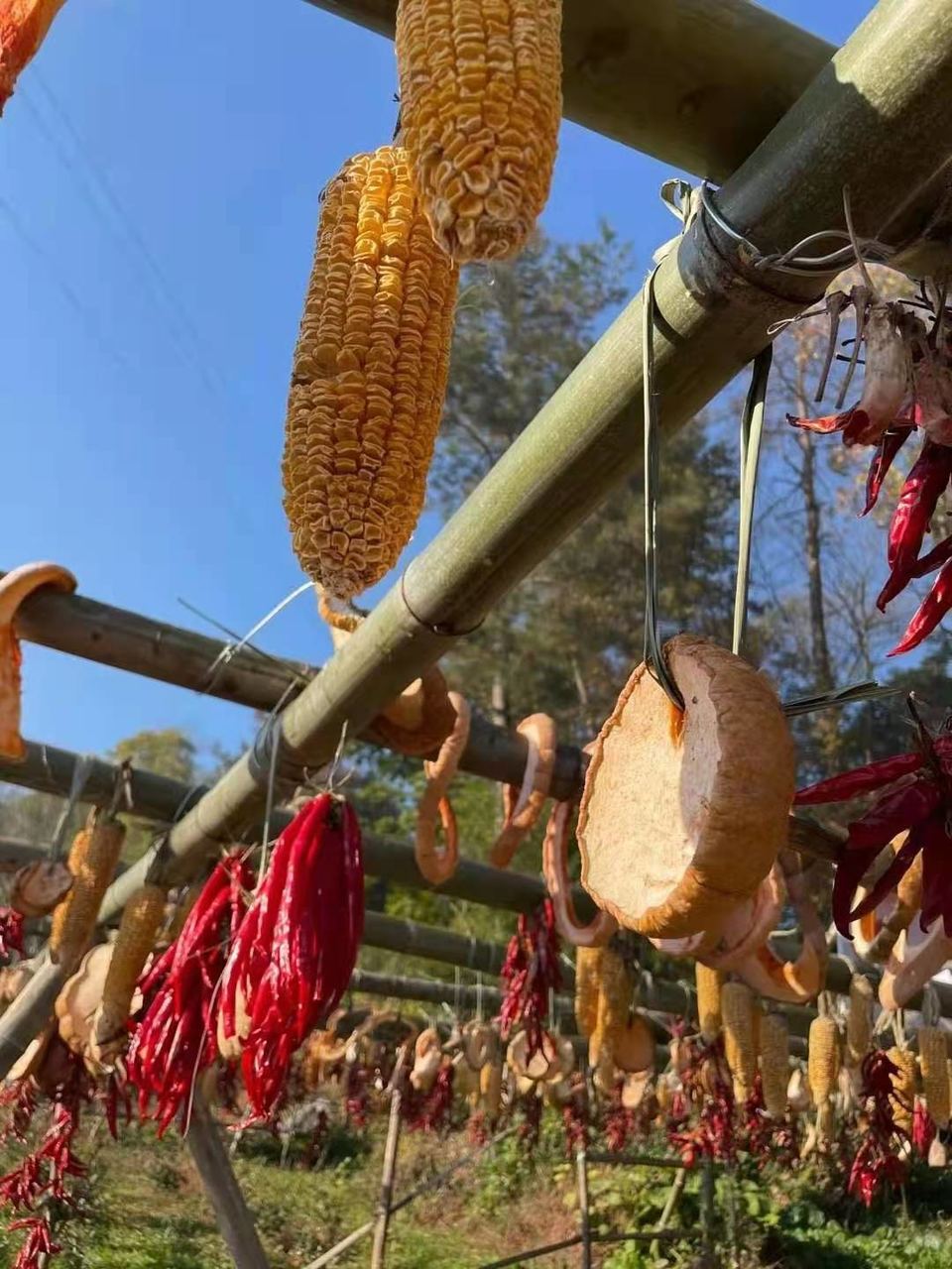 微信图片_20201116145853