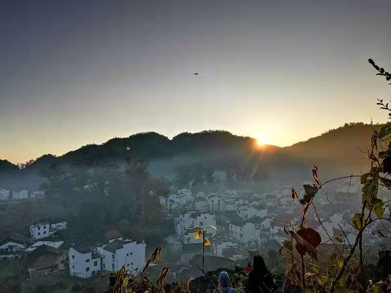 微信图片_20201116150013