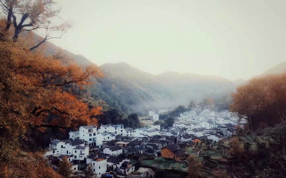 微信图片_202011161456531