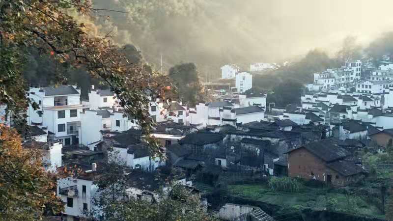 微信图片_202011161456532