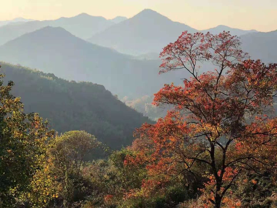 微信图片_202011161456533