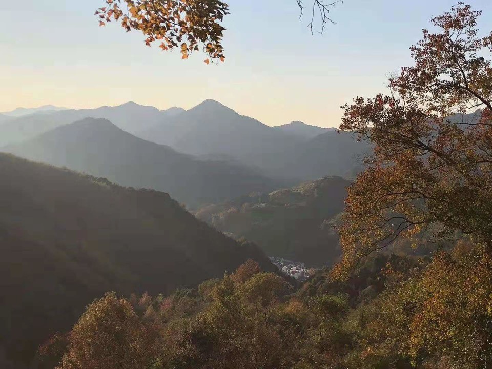 微信图片_202011161456534