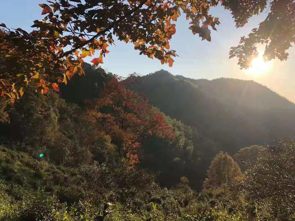 微信图片_202011161456535