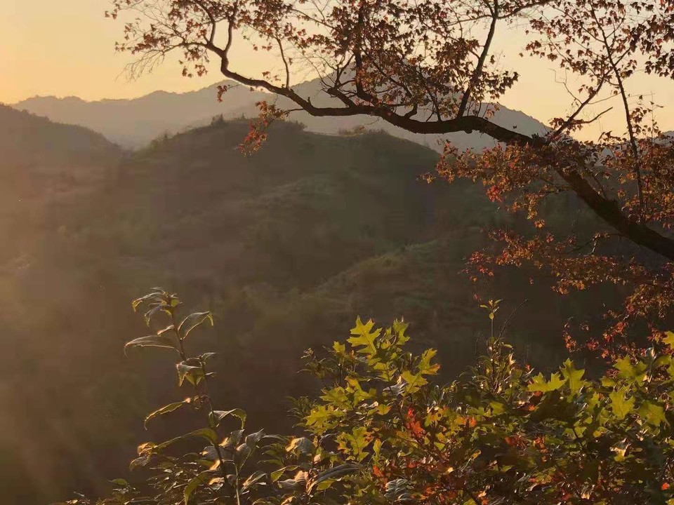 微信图片_202011161456536