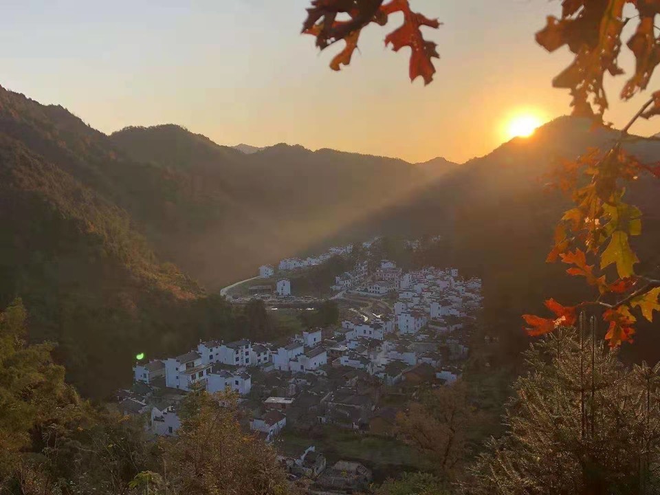 微信图片_202011161456537