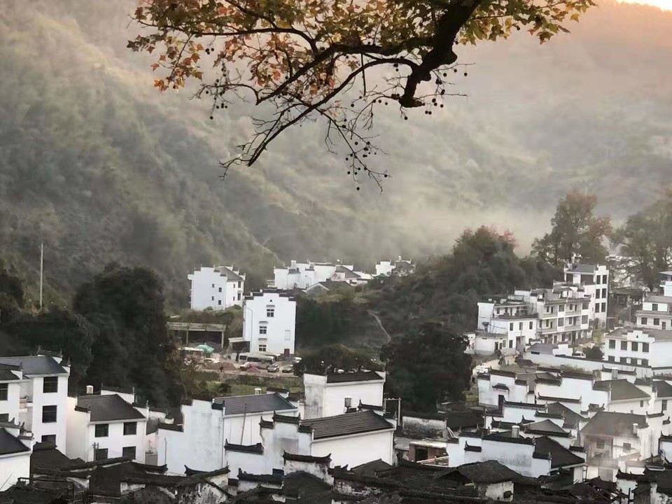 微信图片_202011161457221