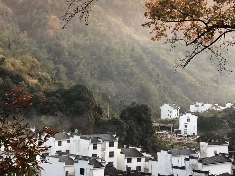 微信图片_202011161457222