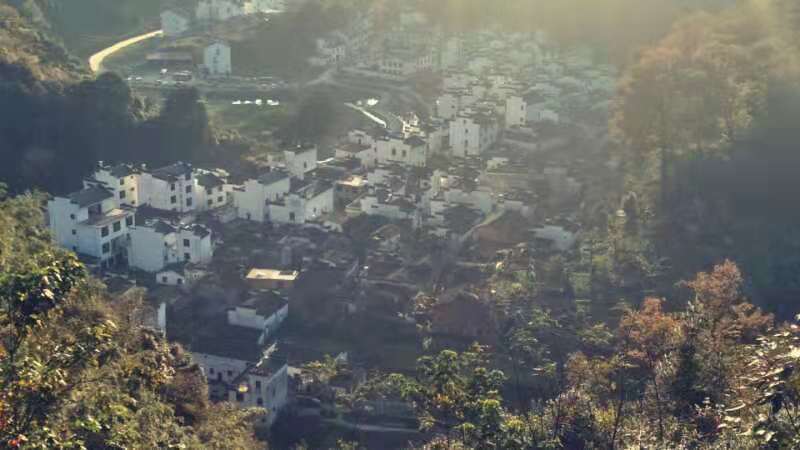 微信图片_202011161457225