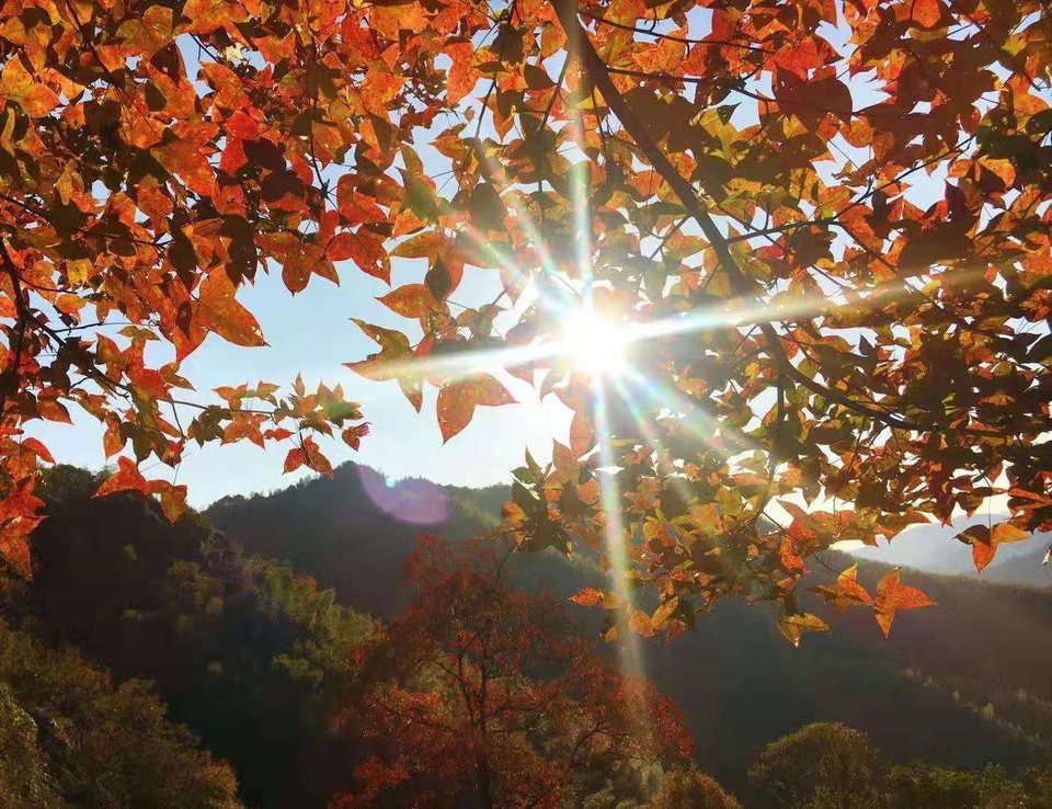 微信图片_202011161457226