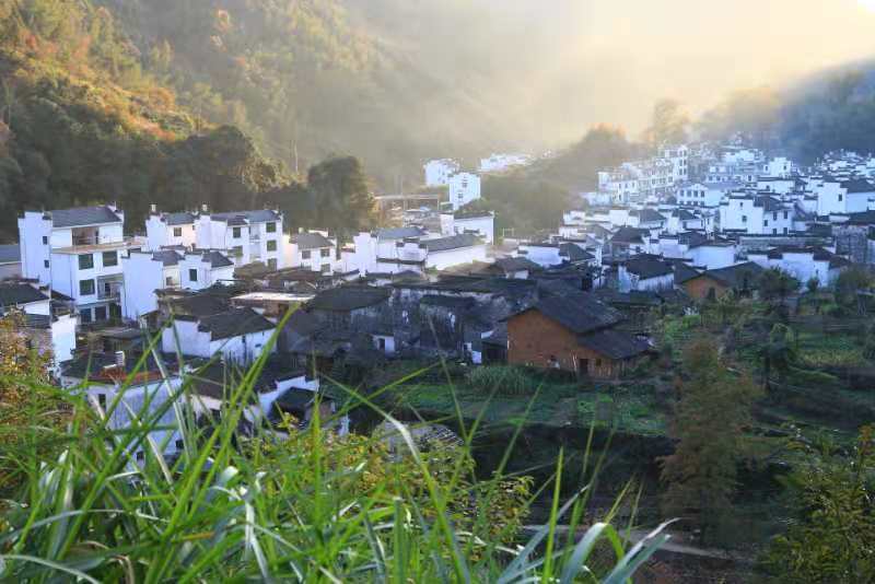 微信图片_202011161457227