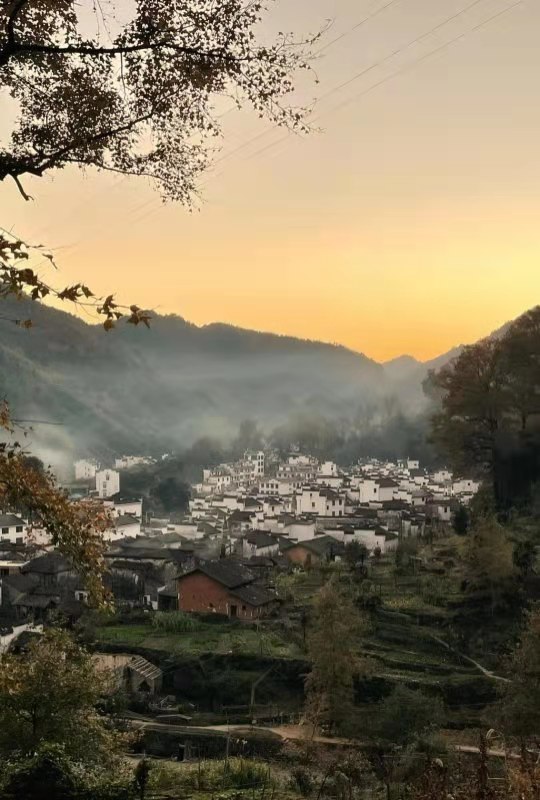 微信图片_202011161457491