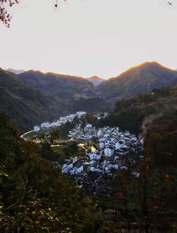 微信图片_202011161457492