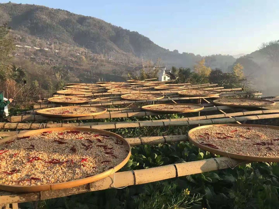 微信图片_202011161457493