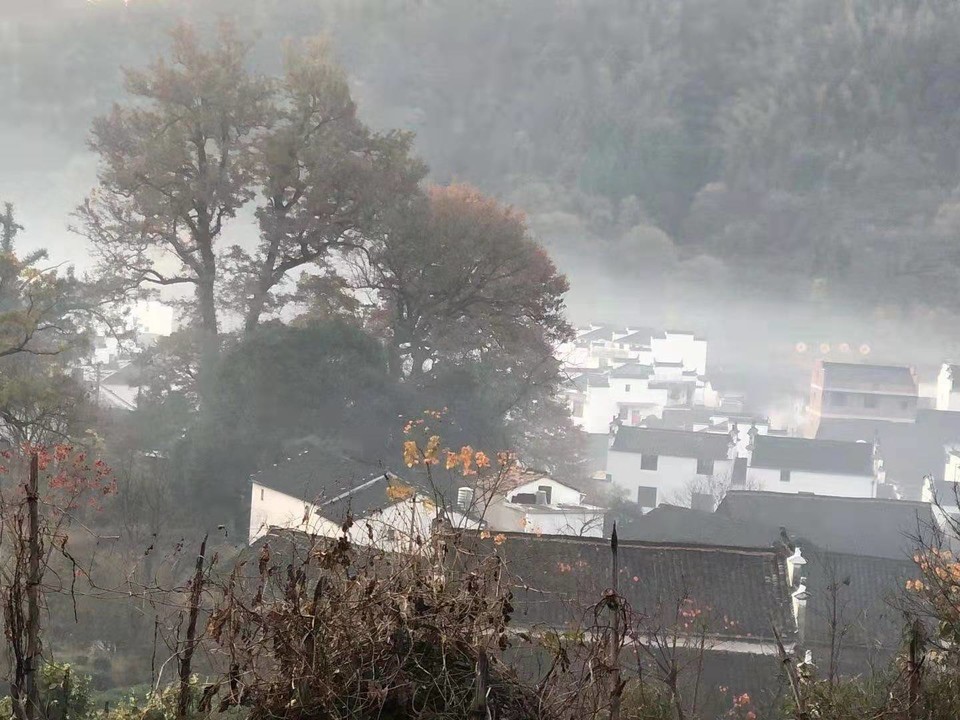 微信图片_202011161457494