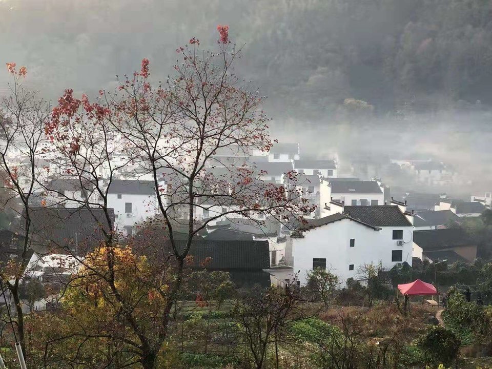 微信图片_202011161457495