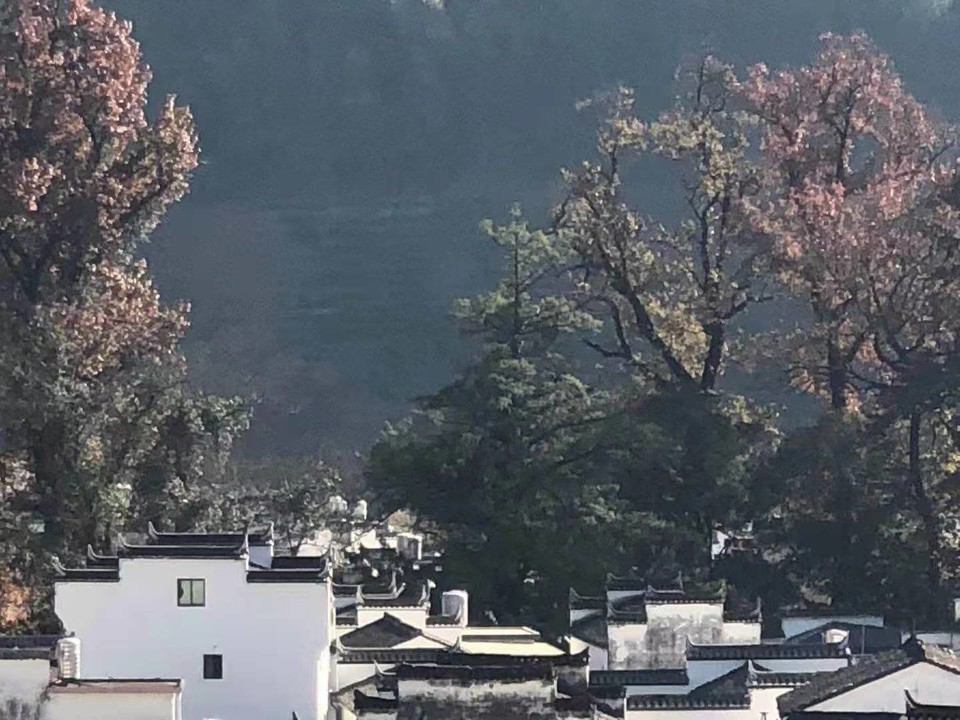 微信图片_202011161458212