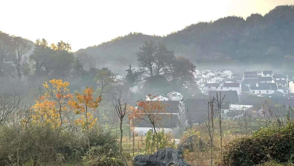 微信图片_202011161458531