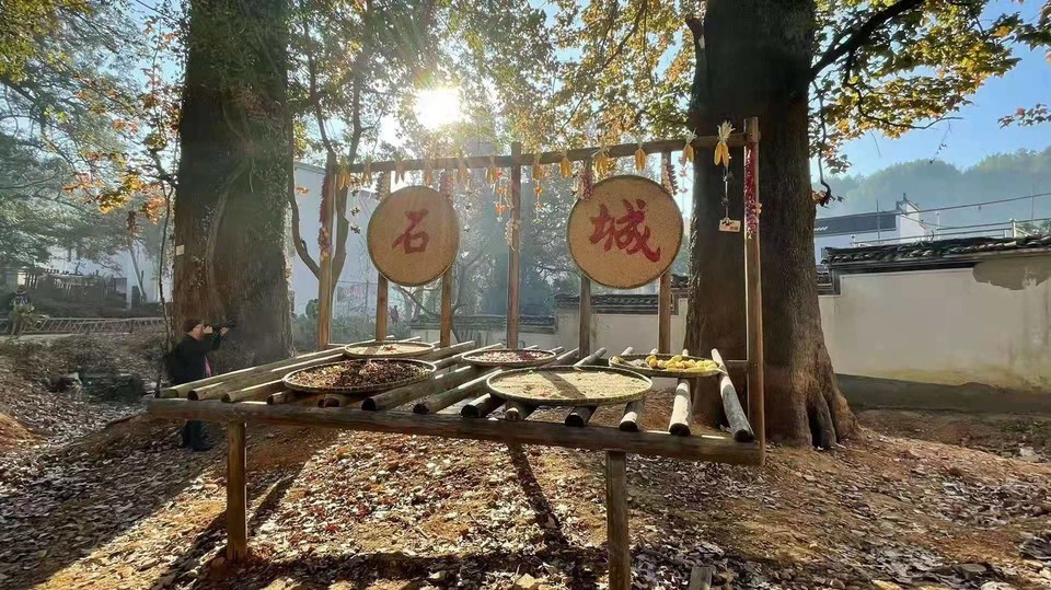 微信图片_202011161458532