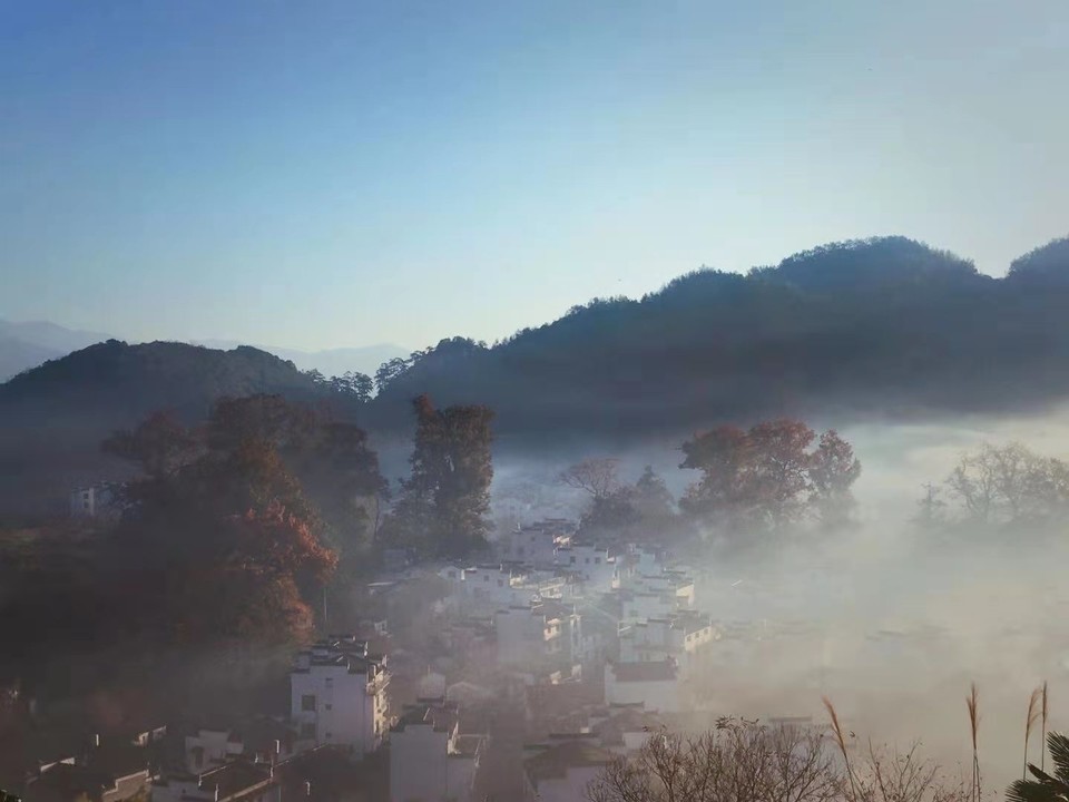 微信图片_202011161458533