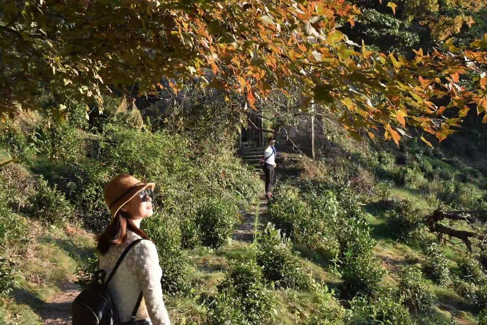 微信图片_202011161459231